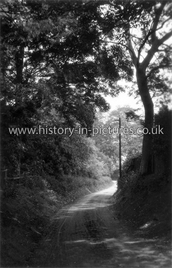 Tingrith Lane, Toddington, Bedfordshire. c.1930's